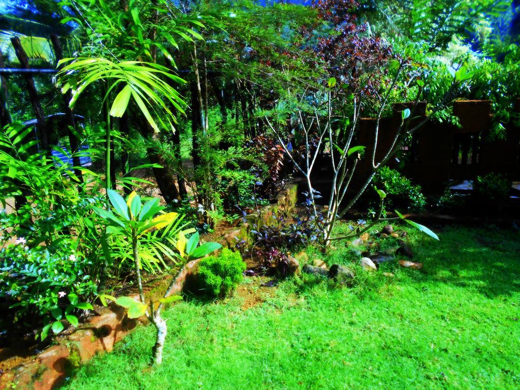 Sapphire Holiday Resort Ratnapura Exteriér fotografie