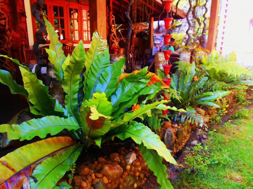 Sapphire Holiday Resort Ratnapura Exteriér fotografie