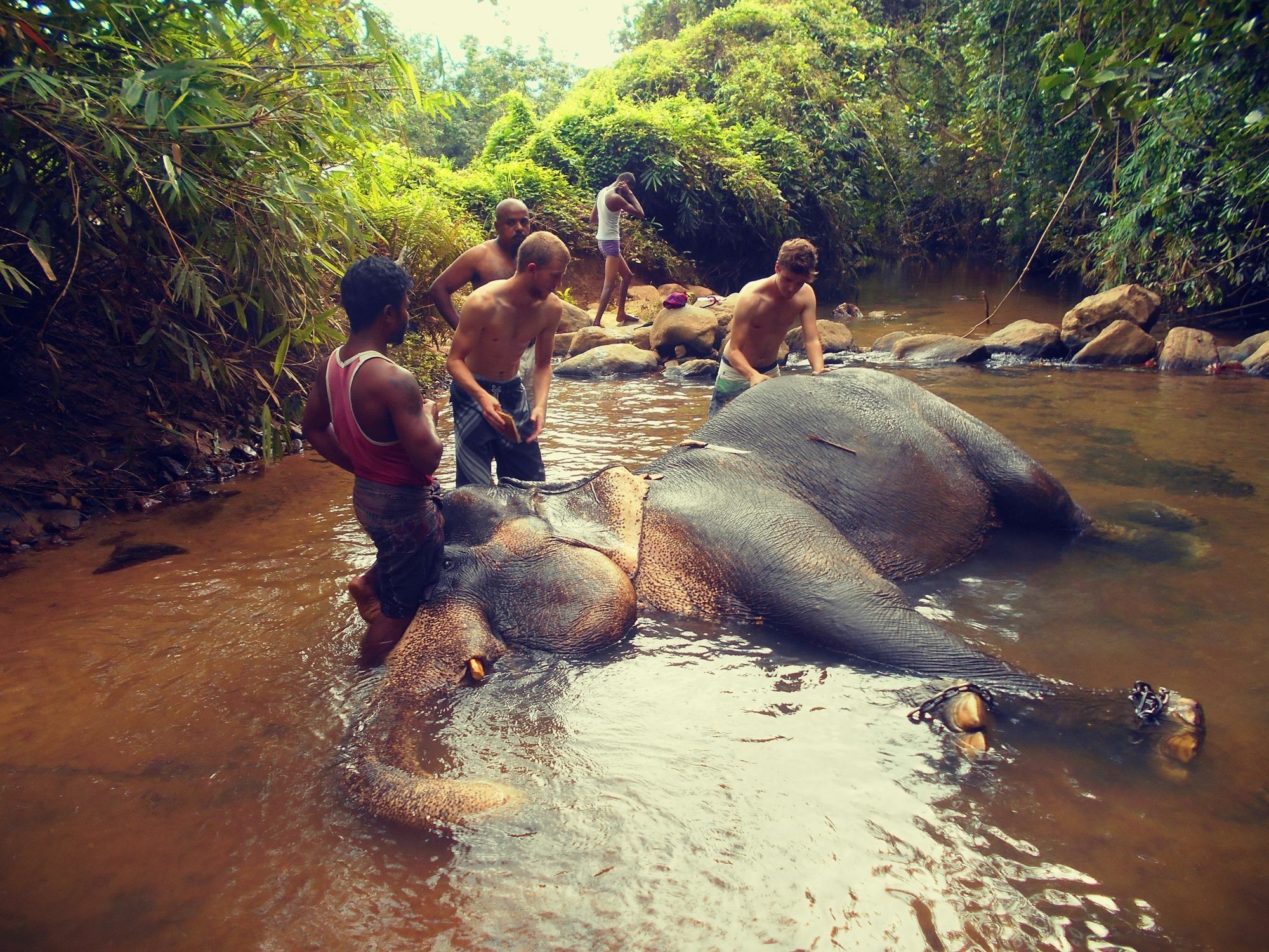 Sapphire Holiday Resort Ratnapura Exteriér fotografie