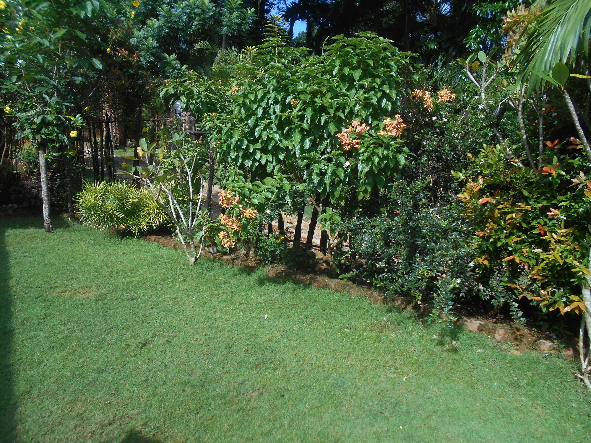 Sapphire Holiday Resort Ratnapura Exteriér fotografie